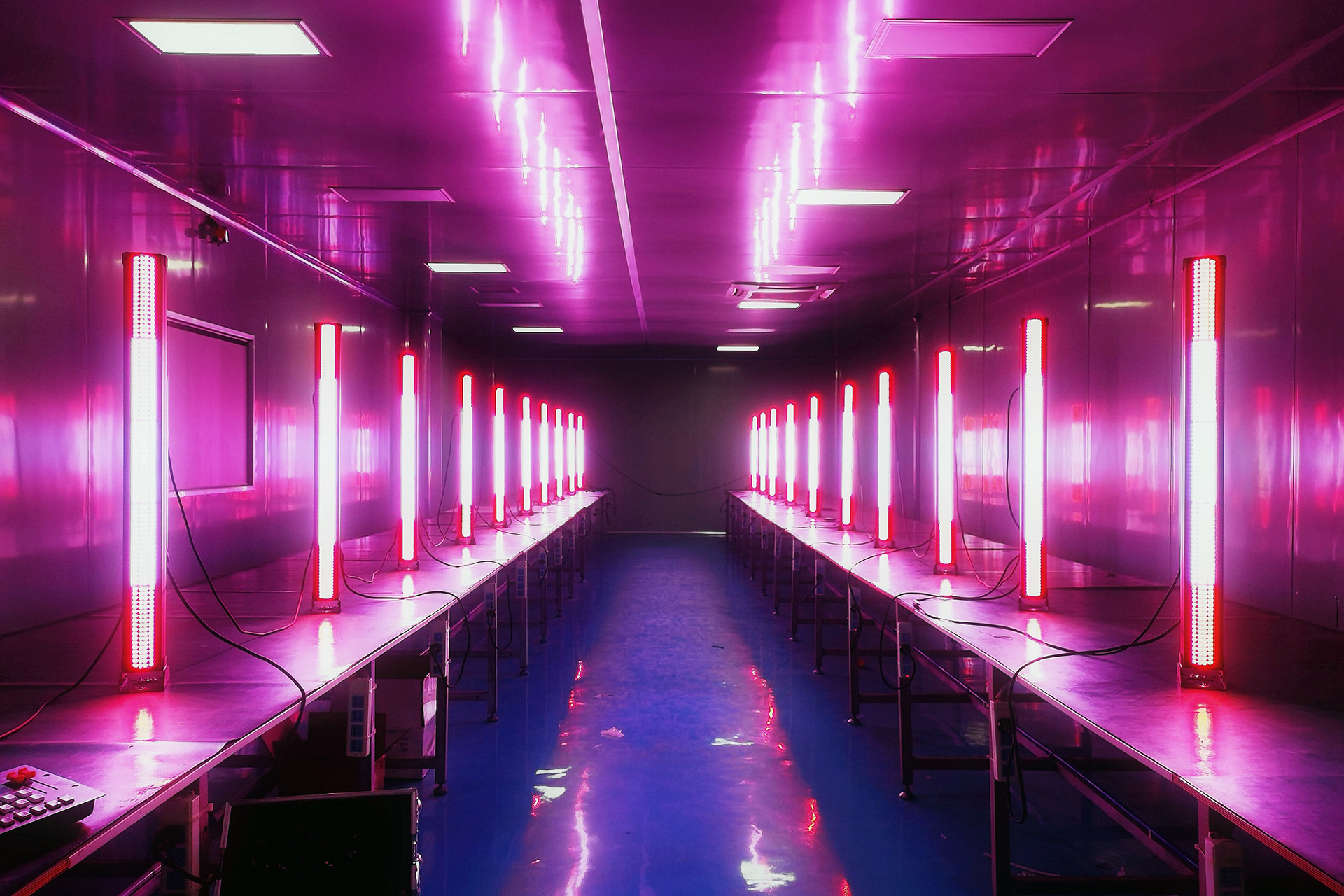 1696225372913238.jpg 3355.jpg